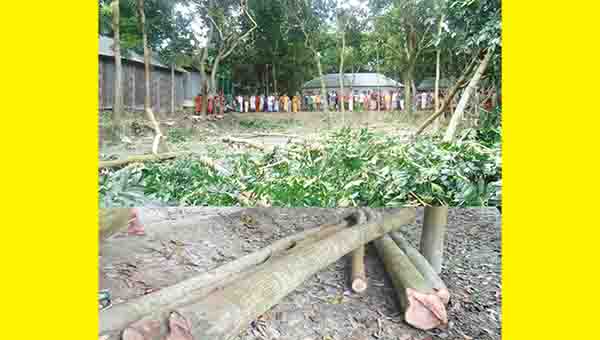 সিরাজগঞ্জ বেলকুচি উপজেলায় জমির বিরোধে ভাইয়ের হাতে ভাই খুন