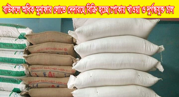 বাউফলে অধিক মুনাফার লোভে দেদারছে বিক্রি হচ্ছে পোকায় খাওয়া ও দুর্গন্ধযুক্ত চাল