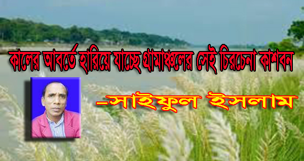 কালের আবর্তে হারিয়ে যাচ্ছে গ্রামাঞ্চলের সেই চিরচেনা কাশবন