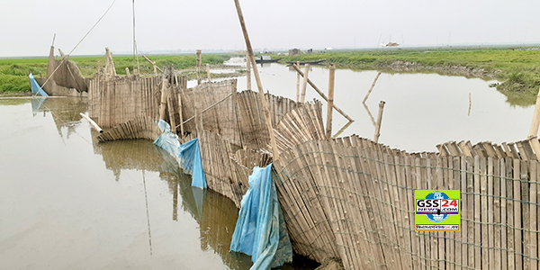 সিন্ডিকেট চক্রের দখলে শালকাটুয়া-মাঝেরবান বিল : কোটি টাকার রাজস্ব হারাচ্ছে সরকার