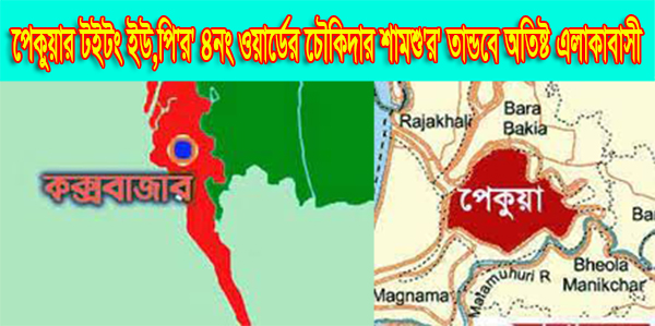 কক্সবাজারে পেকুয়ার টইটং ইউ,পি'র' ৪নং ওয়ার্ডের চৌকিদার শামশু'র' তাণ্ডবে অতিষ্ট এলাকাবাসী