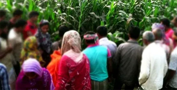 মিঠাপুকুরে  ভুট্টা ক্ষেত থেকে কিশোরীর অর্ধগলিত লাশ উদ্ধার