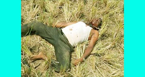 আখাউড়ায় ধানের জমি থেকে অটোরিক্সা চালক হিরনের গলাকাটা লাশ উদ্ধার