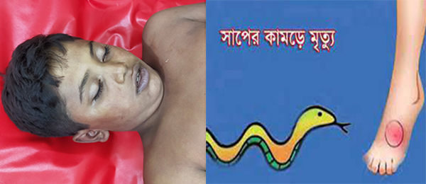 গোসলখানায় সাপের কামড়ে শিশুর মৃত্যু