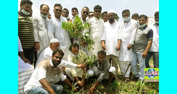 সিরাজগঞ্জে বিএনপির বৃক্ষ রোপন  