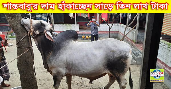 শান্ত বাবু'র দাম হাঁকাচ্ছেন সাড়ে তিন লাখ টাকা