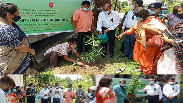 কিশোরগঞ্জে শেখ কামালের ৭২তম জন্মবার্ষিকীতে গাছের চারা রোপন ও বিতরণ