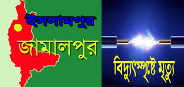 ইসলামপুরে বিদ্যুৎতায়িত হয়ে কৃষকের মৃত্যু