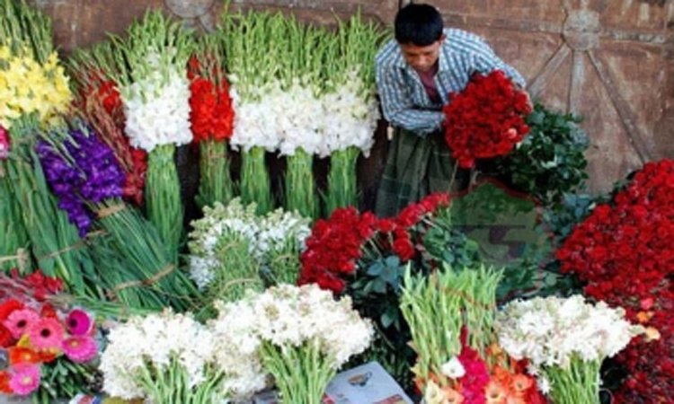 যশোরের গদখালিতে ২০ কোটি টাকার ফুল বিক্রির সম্ভাবনা