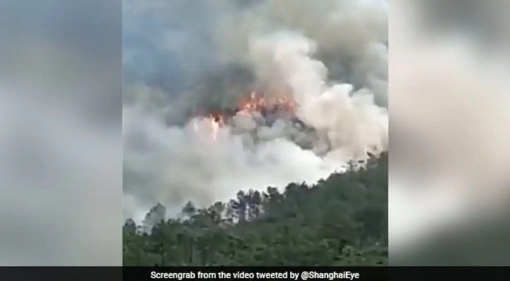 চীনে ১৩৩ যাত্রী নিয়ে প্লেন বিধ্বস্ত 