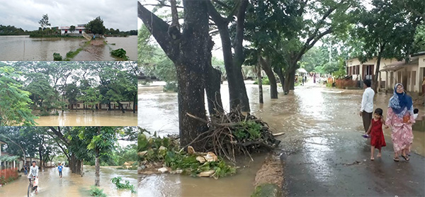 টানা বৃষ্টি, পাহাড়ি ঢলে আখাউড়ার হাওড়া নদীর বাঁধ ভেঙ্গে গেছে, ১২ গ্রাম প্লাবিত