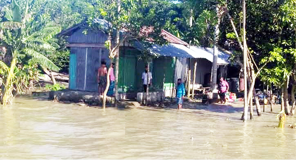 মেঘনার পানি বিপদ সীমার ওপরে, দুর্ভোগে ২০ গ্রামের মানুষ