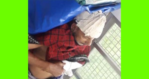 কমলগঞ্জে অবসরপ্রাপ্ত পুলিশ অফিসারকে কুপিয়ে জখম : আটক-২