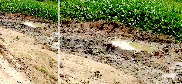 শ্রীমঙ্গলে অবৈধ ভাবে বালু উত্তোলন ঃ এসব অর্থলোভীদের খুটির জোর কোথায় ?