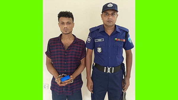 হোমনায় ইয়াবাসহ ব্যবসায়ী আটক