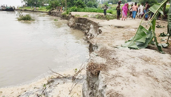 সিরাজগঞ্জে যমুনা নদীর পানি বৃদ্ধি অব্যাহত