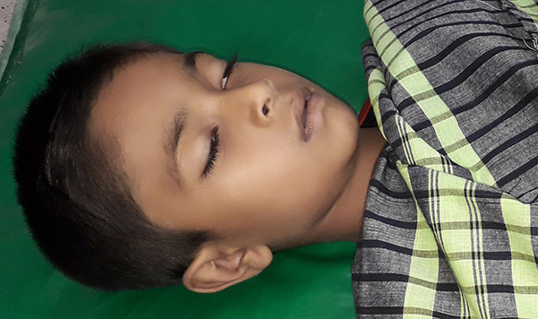 হোমনায় সাপের কামড়ে শিশুর মৃত্যু