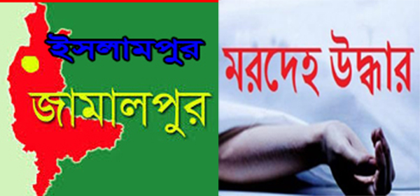 ইসলামপুরে দুইটি মরদেহ উদ্ধার