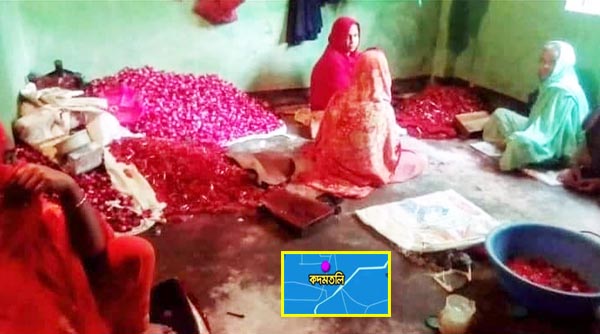 রাজধানীতে পুলিশ ফাঁড়ির ছত্রছায়ায় চলছে অবৈধ ঔষধ তৈরির কারখানা
