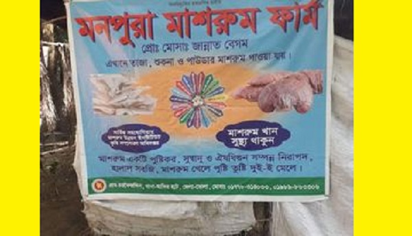মন পোড়ায় মাশরুম চাষ করে স্বাবলম্বী হলেন জান্নাত
