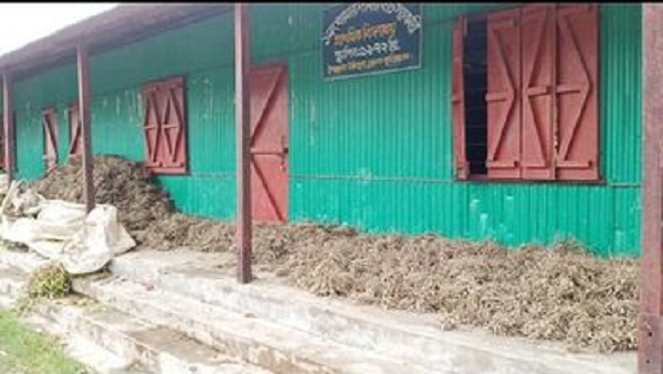 উলিপুরে ১নং খামার দামার হাট সরকারী প্রাথমিক বিদ্যালয়ে প্রধান শিক্ষকের গাফিলতি পাঠদানে অবহেলা :