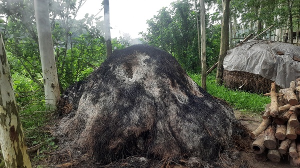 সিরাজগঞ্জের খোকশাবাড়ীতে মামলা তুলে না নেওয়ায় বাদীর খরে'র পালায় আগুন ও প্রাণনাশের হুমকির অভিযোগ 