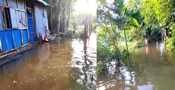 নোয়াখালীর সদরে বন্যা পরিস্থিতির অবনতি: দুর্গত এলাকায় এখনো পৌঁছুয়নি ত্রাণ