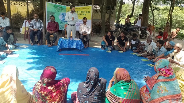 নরসিংদী জেলা শিবপুর উপজেলায় পাটনার ফিল্ড স্কুল( GAP) উত্তম কৃষি চর্চা সম্পর্কে আলোচনা অনুষ্ঠিত