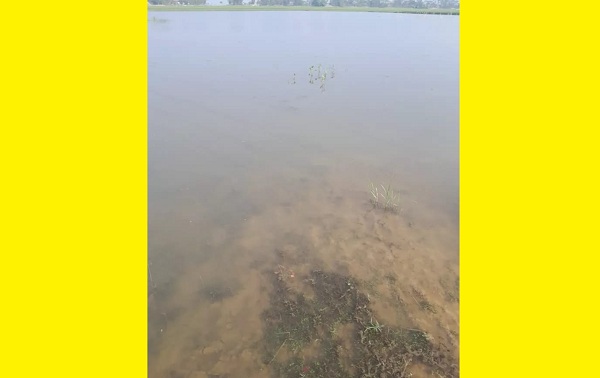 রাজনগরে “হারিউন বিল” আশার আলো মৎস্যজীবী সমবায় সমিতি-কে দখল বুঝে নেওয়ার অনুরোধ