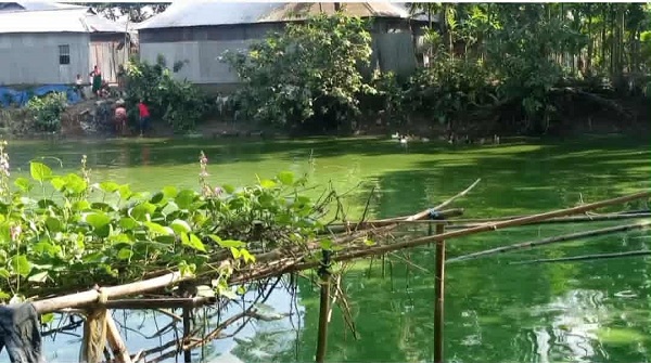 কুড়িগ্রামে জমির বৈধ কাগজপএ থাকা সত্বেও দখল দিচ্ছে না নুরমোহাম্মদ গংরা