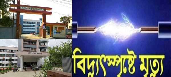 জামালপুরে পৃথক স্থানে বিদ্যুৎস্পৃষ্টে মা-ছেলেসহ ৩ জনের করুণ মৃত্যু ​